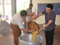 Tn 033 DSC 0871